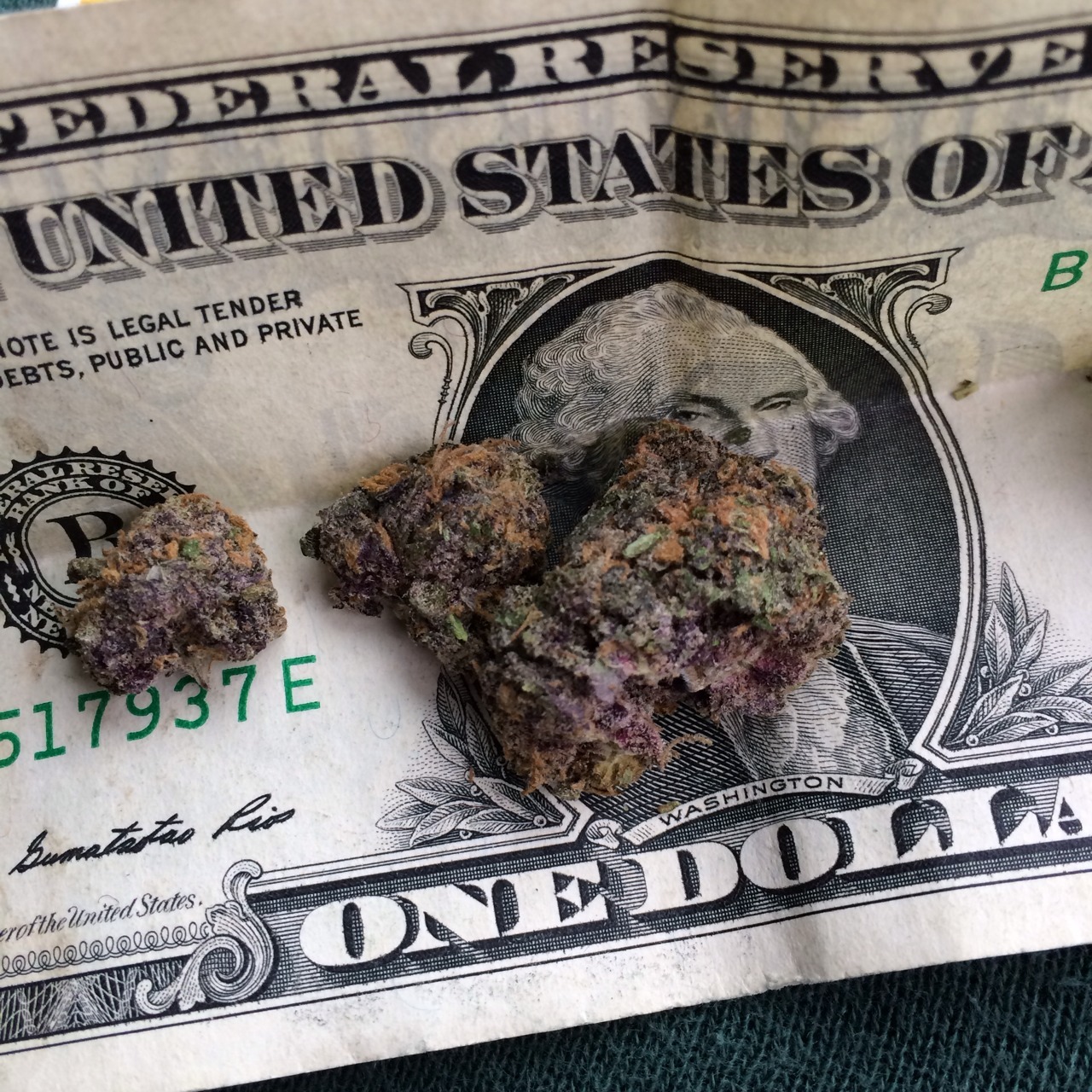 ashighasginger:  That purp though 😍