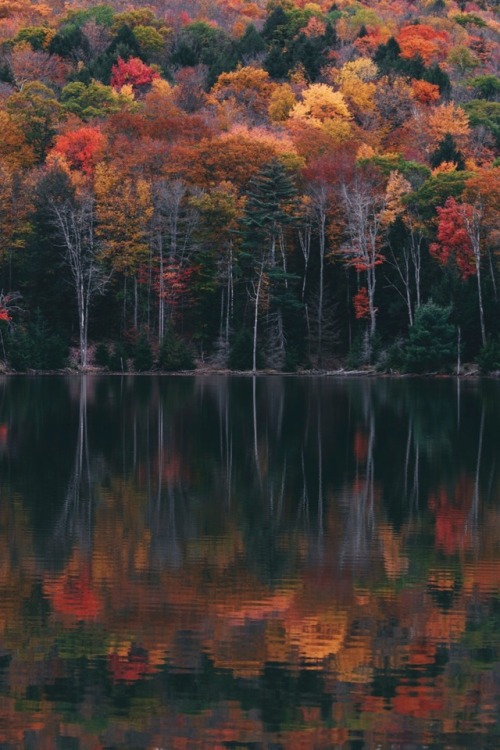 Crisp air, pretty leaves.