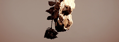 No Love Lost Spell