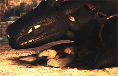 noctiscaelums:Night Fury: the unholy offspring of lightning and death itself. Never engage this drag