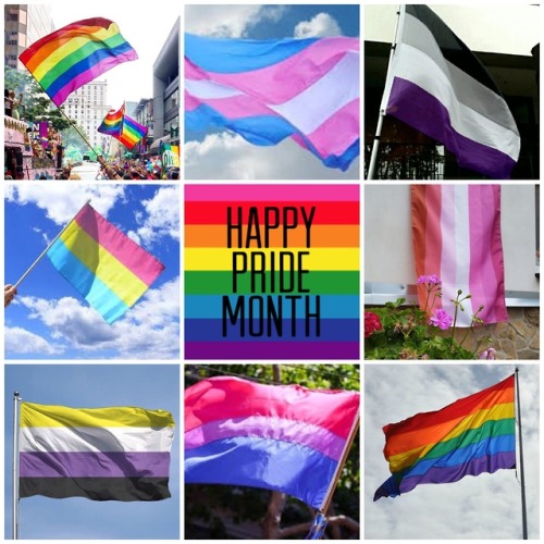 nb-positivity-images:happy pride month 2019 ❤️