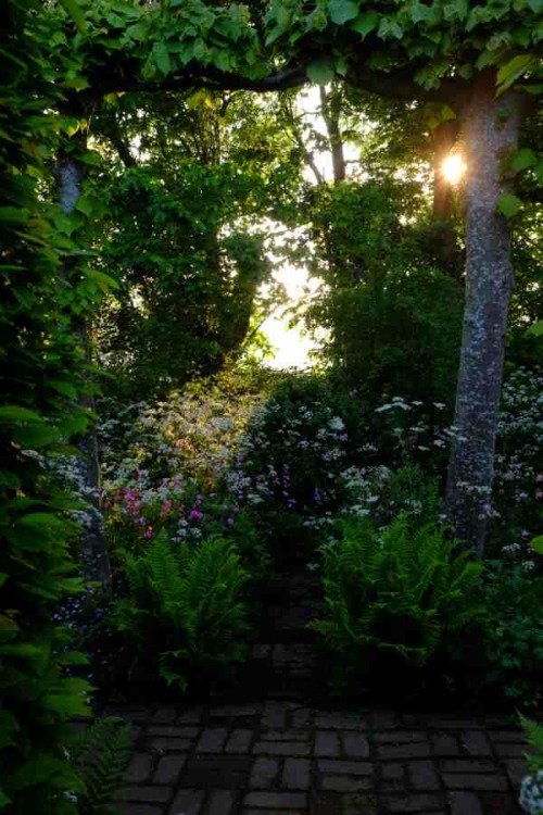 pagewoman: Sunrise by Monty Don