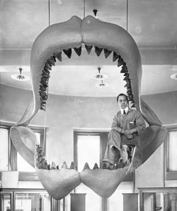 Seated In Fossil Shark Jaw Restoration, 1909.