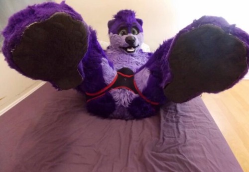 I got these sexy submissions from Sigh Otter. ;3Check out his Twitter - @Prplott~Find More On My Blo