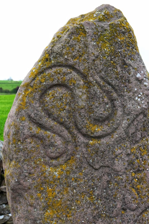 The Serpent Stone, Aberlemno Pictish Stones, Aberlemno, Angus, 20.5.18.On the front of this stone is