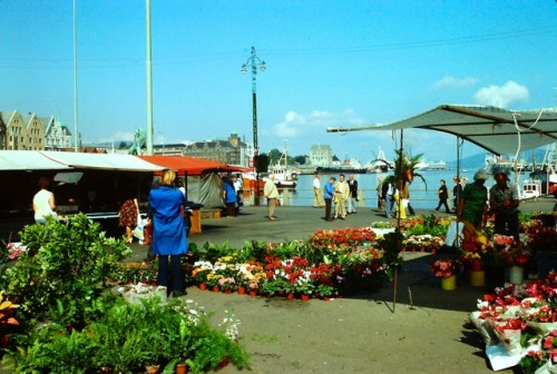 Blomstermarkedet, Bryggen, Bergen, Norge, 1976.