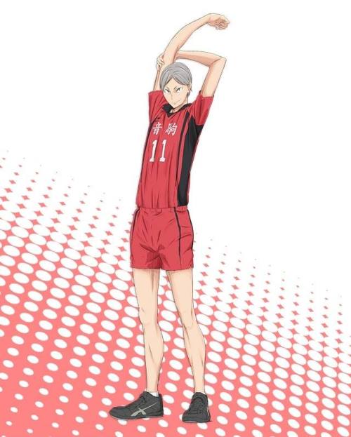 megumi86:  Official anime page has been updated with Fukurodani, Nekoma and Shiratorizawa profiles. 