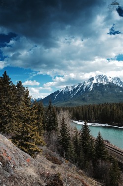 greatwideworldphoto:  Tired | Original by Great Wide World PhotographyTaken in Alberta, CanadaPlease don’t remove creditsShop | Instagram | Portfolio  