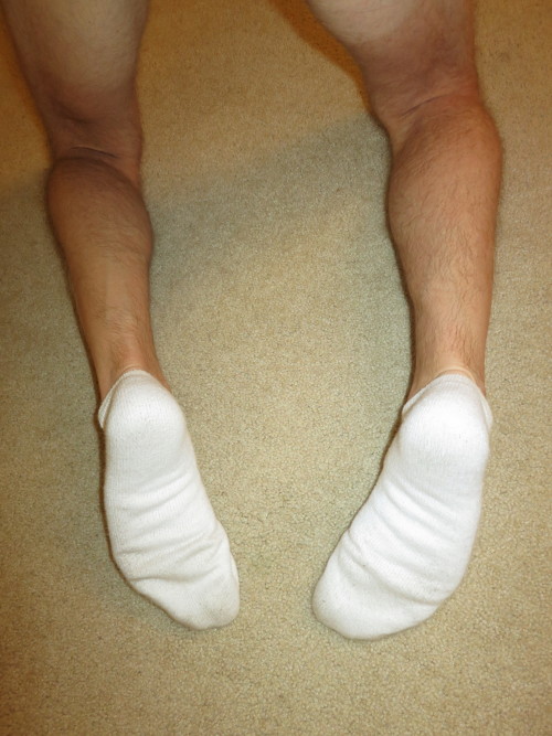 whitesocks10:  White Adidas No Show Socks! ำ. ุ worn. โ with a little TLC ;)
