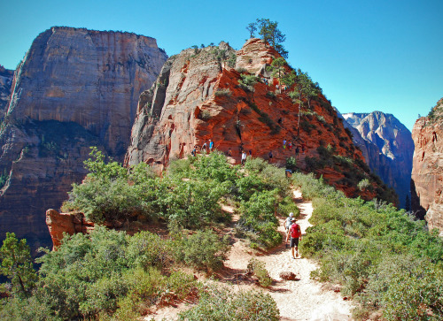 trekethos:Zion National Park, UtahHiking Angels Landing in Zion.