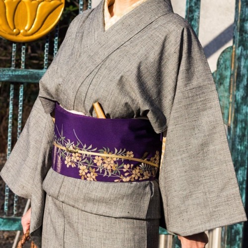 結城紬に桜の染め帯 少し前の写真 #japan #tokyo #setagaya #kimono #obi #tsumugi #着物 #きもの #帯 #結城紬 #染め帯