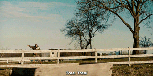 theleiaskywalker:ANNE WITH AN E (2017—) What Can Stop the Determined Heart