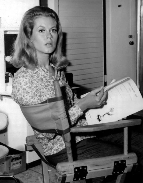 Elizabeth Montgomery Nudes &amp; Noises  