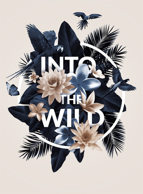 typostrate: Into the wildby Kévin Bothua.
