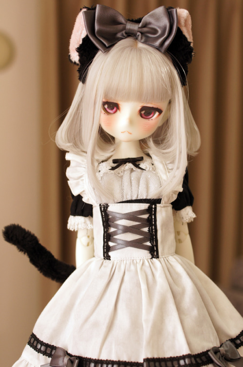 OUTFIT : azone  月夜のいたずら猫メイドセット