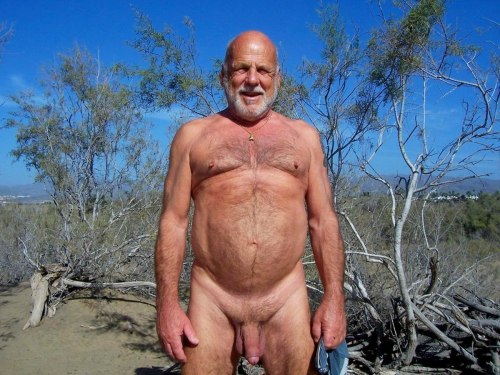 The Daddies of Dreams