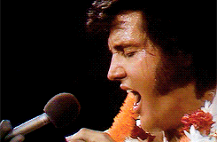 simplyelvis:  Aloha From Hawaii, January 14, 1973. 