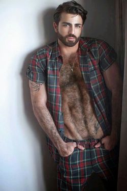 thefurryforest: