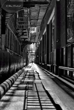 'Chicago Alley' by Elena Kovalevich