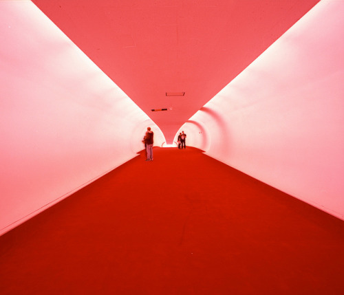 vethox:  20121008_014 by k_dellaquila on Flickr.