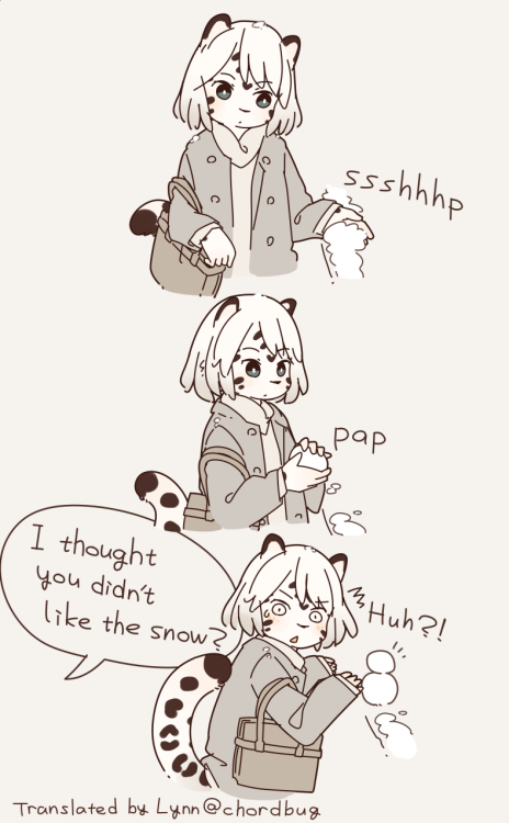 s1120411: Snow leopard girl
