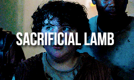 zaslavskianton:The maze runner: character tropes