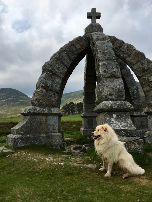 Queens Well, Glen Esk, ScotlandJune 2018