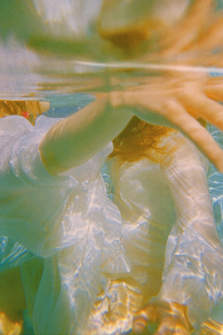 nevver:  Pale fire, Neil Krug