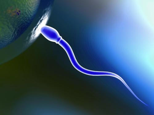 elpatron56: thinksquad: A judge in Kansas ruled a man who donated sperm to a lesbian couple is the f