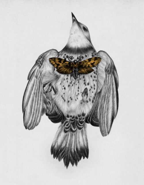 lohrien:  Illustrations by Peony Yip tumblr l society6