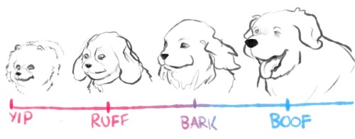 gearoodog:I’m in the bark/ BOOF zone