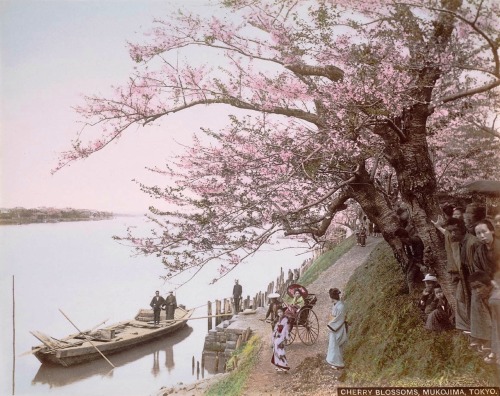 Mukojima, on the Sudima River, Tokyo.1895. Meiji era. Art by Tamamura Kôzaburô.(1856-192