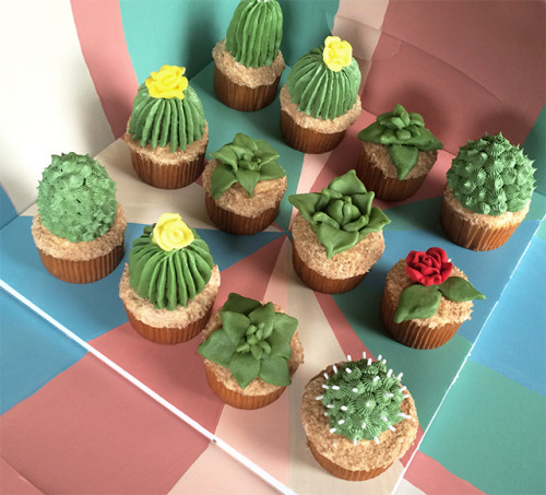 XXX thecupcakemaniac:  Cacti Cupcakes  photo