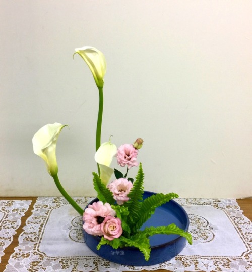 Moribana (upright style; 盛花−直立型) with Calla, lisianthus and sword fern.Grouped sword fern (7 fronds)