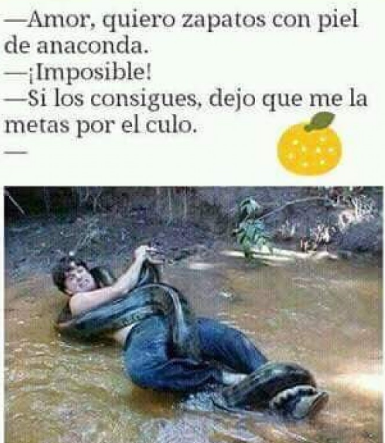 Bienvenido a post de humor y gatos