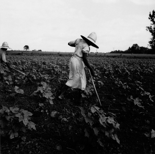 Women through the lens of Dorothea Lange:Ex-Slave with a Long Memory (1938)Shipyard Worker (1943)Vol