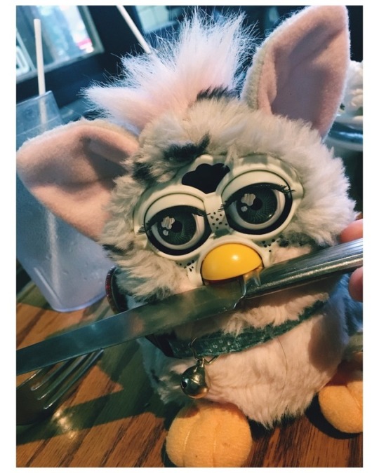 Tumblr media
