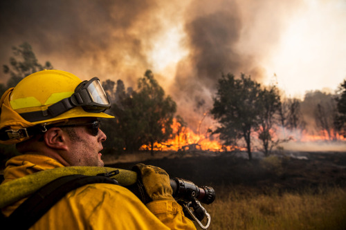 Dozens of wildfires are scouring California this summer in what may go down as the worst fire season