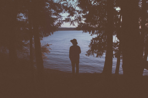 theperksofbeing-infinite:  ++