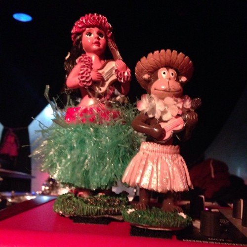 <p>#SOTC @thehoneyrunners hula babes #toronto #techlife #hula #babes #monkey  (at Cherry Cola’s Rock ‘n’ Rolla Cabaret & Lounge)</p>