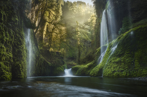 forest-nation: Profanities of Glee by Matt Jackisch