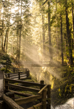 superbnature:  Sol Duc Falls by akulk 