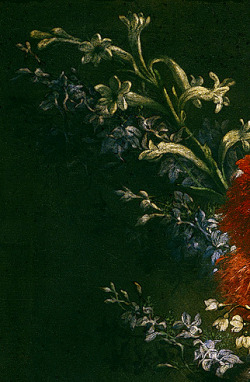 clara&ndash;lux: BELVEDERE, Andrea (1652–1732) Still life, detailsbetween 1694 and 1700Oil on canvas, 151 × 100 cmPrado Museum Ed. and Digital Restoration Orig. 