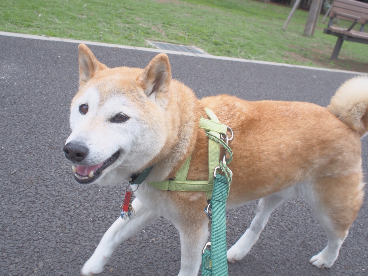 michibita:  Have a lucky day!