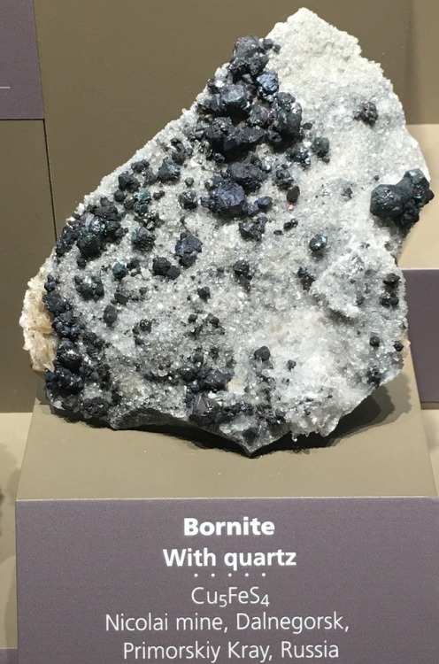 Cluster of dark grey, slightly iridescent bornite crystals on a white drusy quartz matrix.