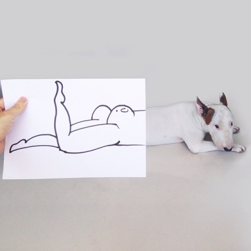 A bullterrier named Jimmi Choo starring in funny illustrations by Rafael Mantesso