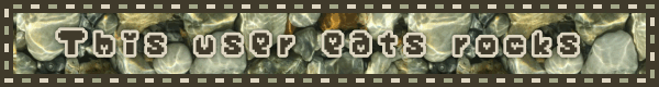 this user eats rocks