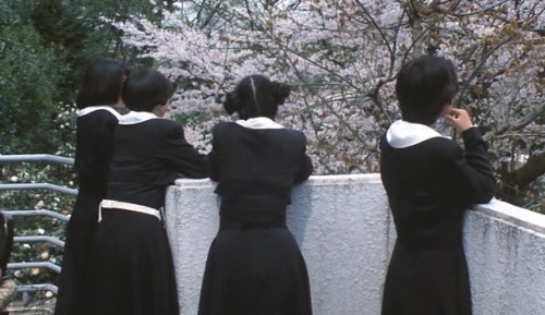 The Cherry Orchard (1990)dir. Shun Nakahara