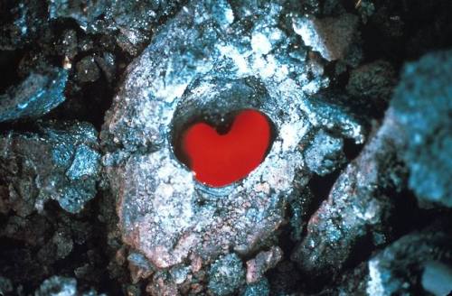 Heart shaped lava treeThis is an image from 1968, taken looking down on top of a lava flow from Kila