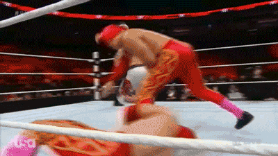 wrasslormonkey:  I’m pretty sure that doesn’t even physics (by @WrasslorMonkey)